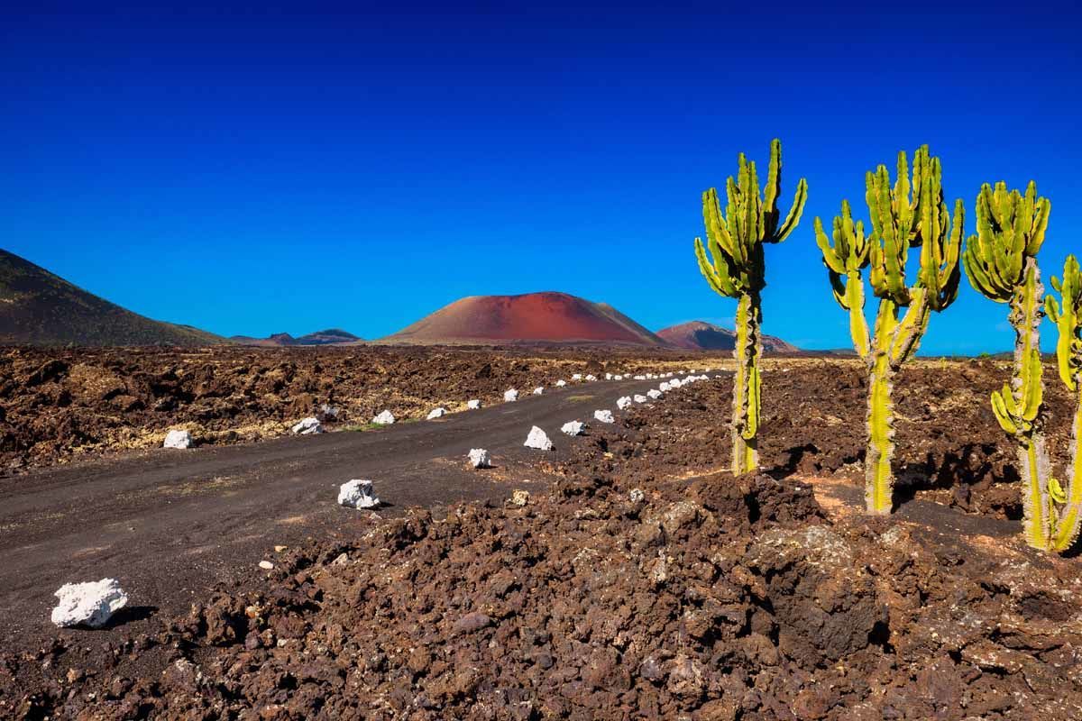 combine-lanzarote-tenerife