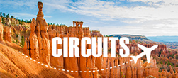 Circuits