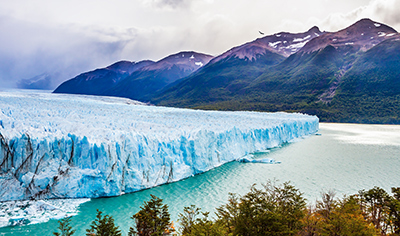 Argentine