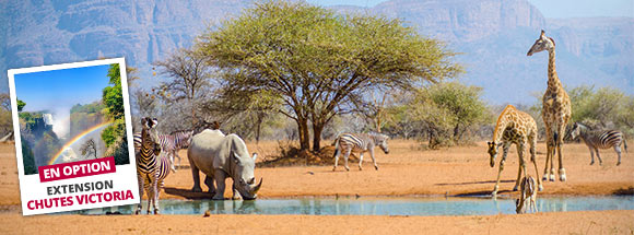 Afrique du sud