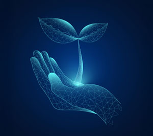 NL44-Breves-Transition eco