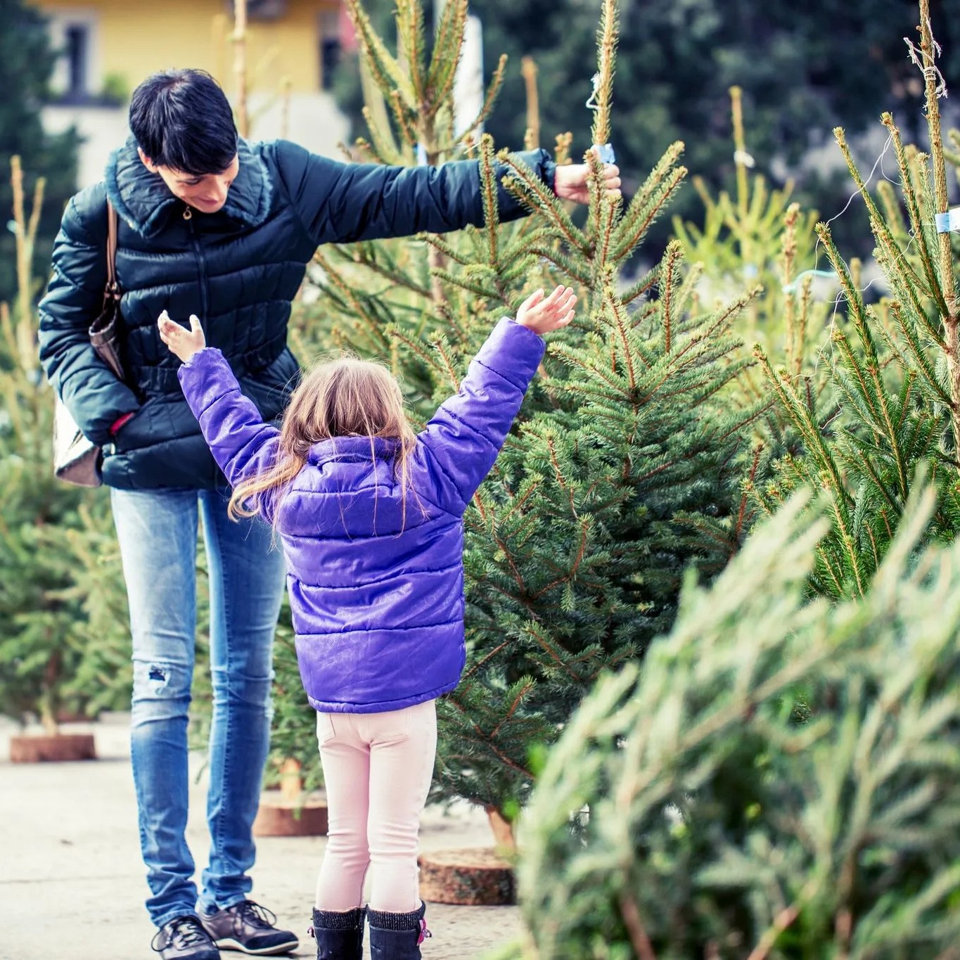 Femme et petite fille choisissent un sapin de Noël