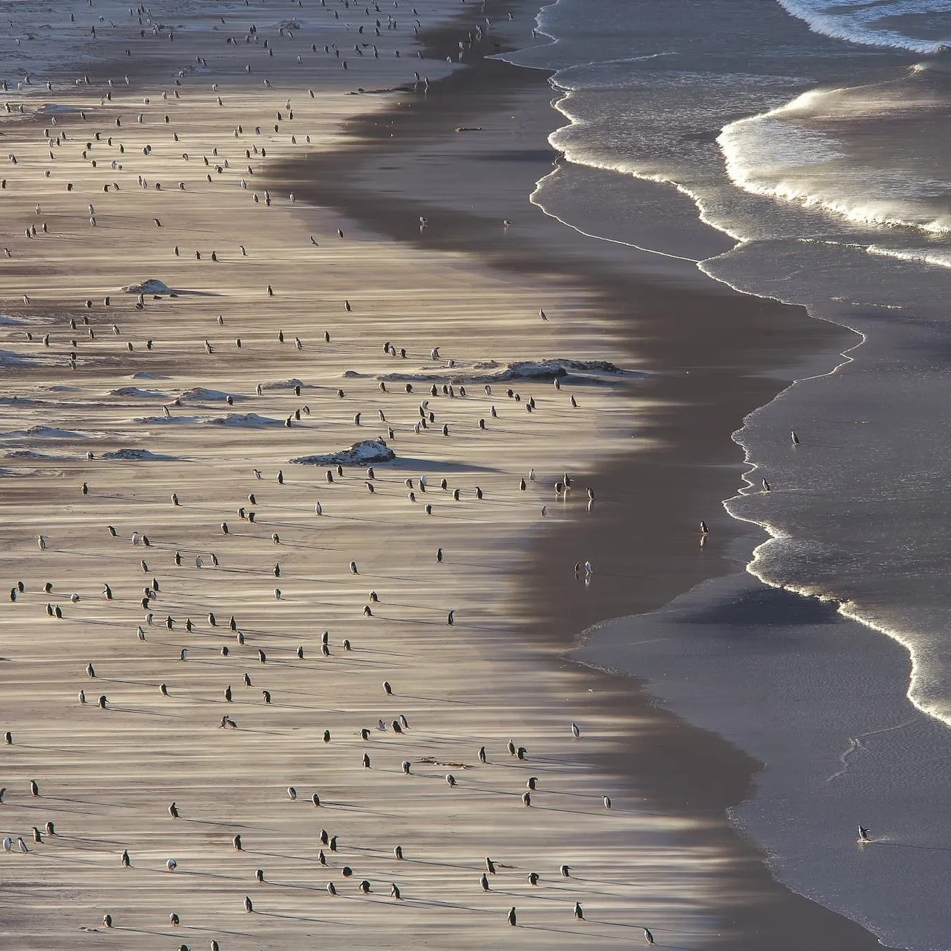 La plage The Neck sur l'ile Saunder