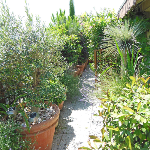 Un balcon verdoyant protégé du soleil