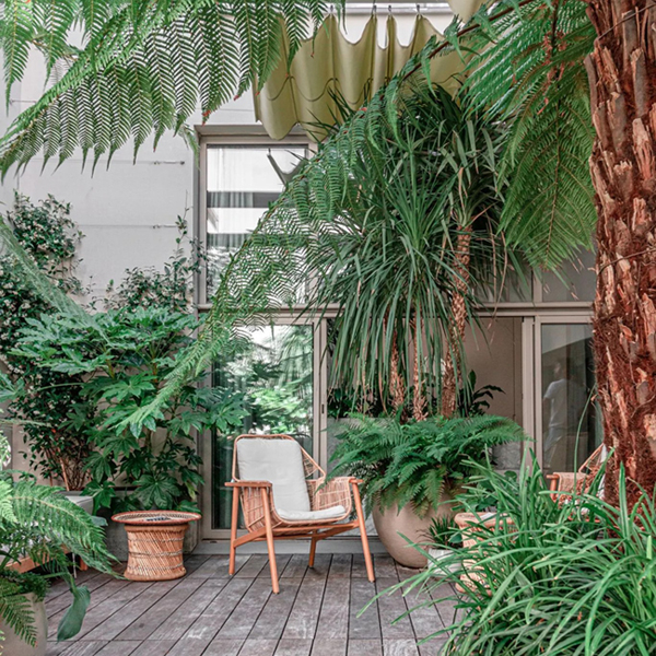 Terrasse en bois avec palmiers