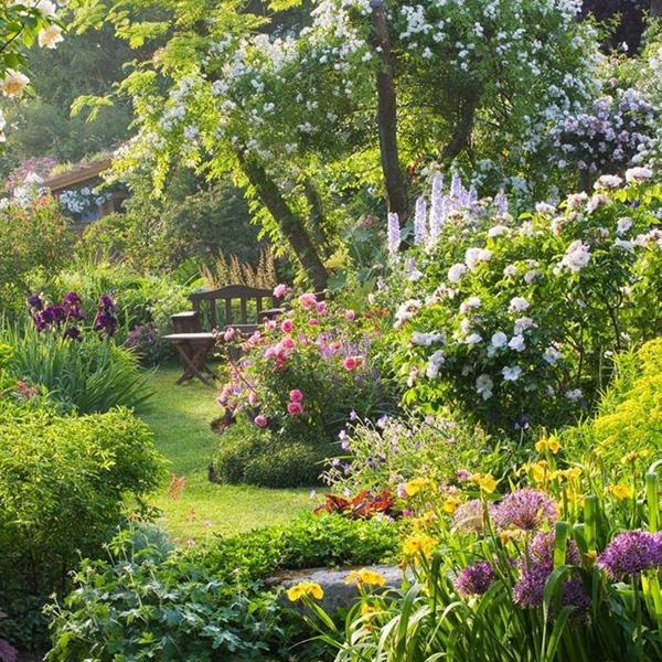 Jardin anglais avec de nombreuses variétés de plantes