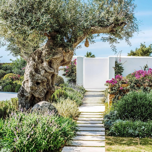 Un jardin comme à Ibiza