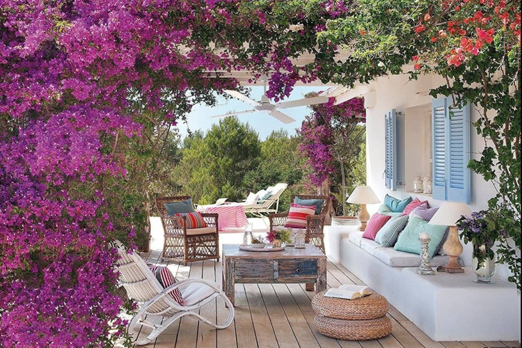 Une terrasse avec bougainvillier