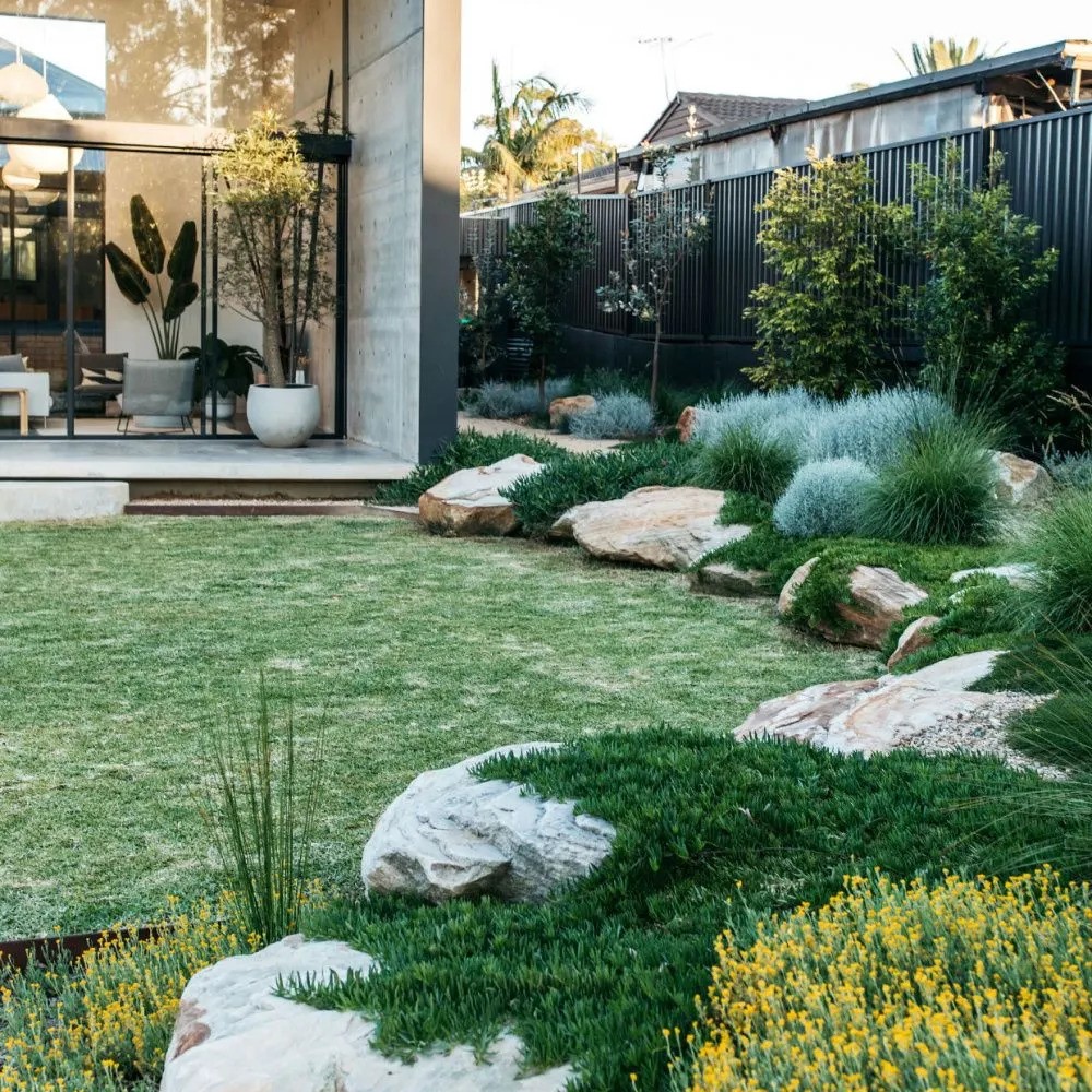 Jardin d'une maison contemporaine avec gazon, pierres et plantes couvre-sols