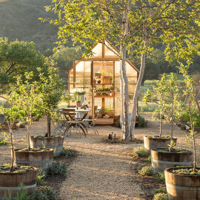 Un abri de jardin tout en vitrage se transforme en une mini serre