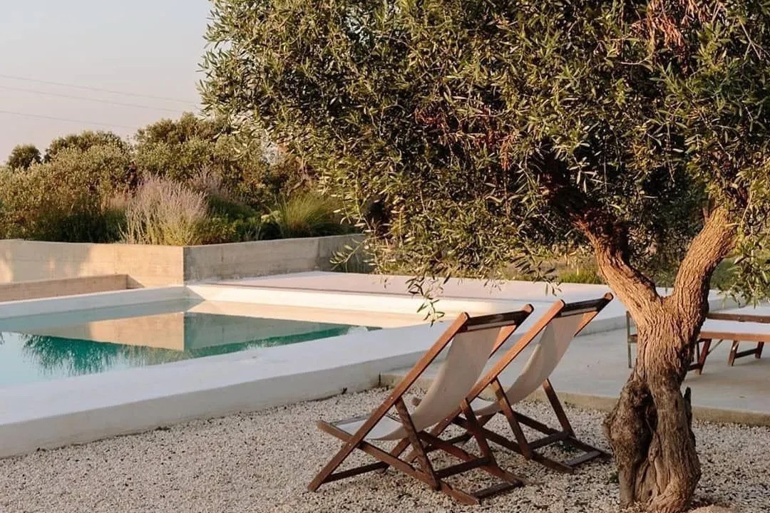 Un jardin méditerranéen avec piscine
