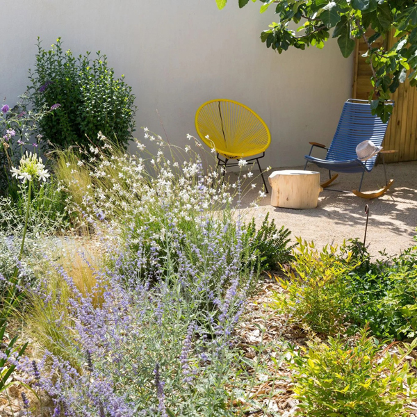 Un jardin sans entretien avec des massifs de plantes vivaces