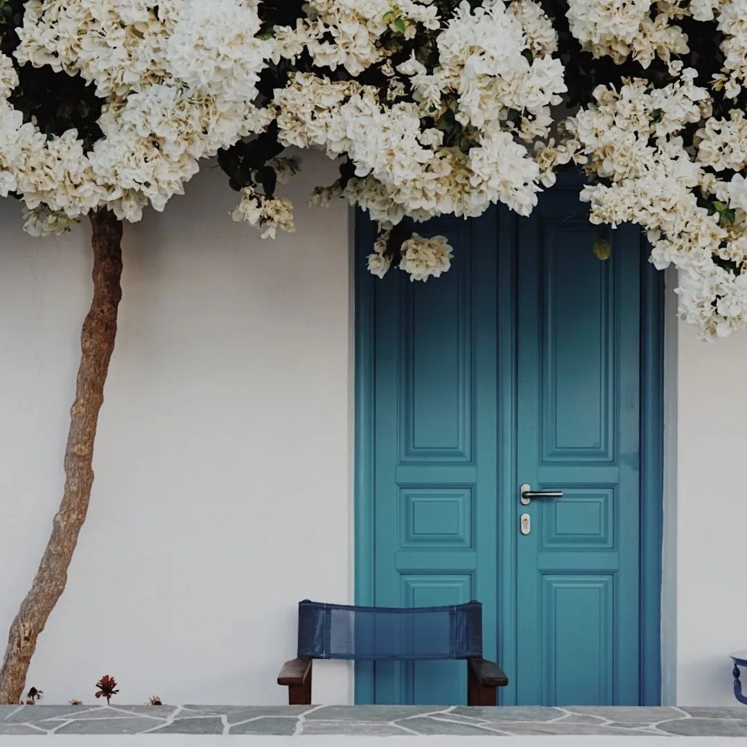 Un bougainvillier blanc habille le mur et apporte un peu d'ombre