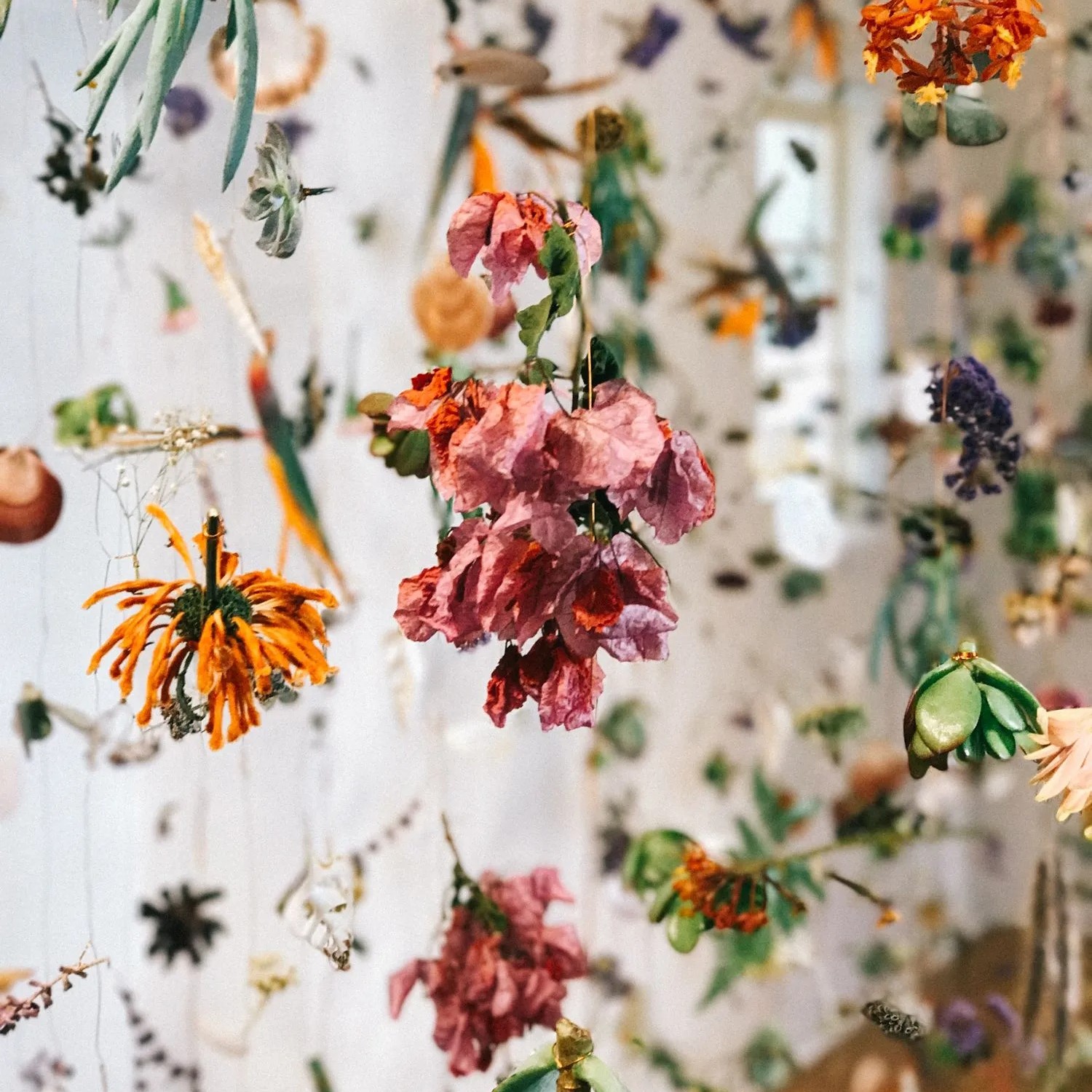 Un rideau de fleurs pour décorer sa maison avec charme