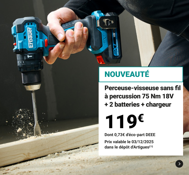 Perceuse-visseuse sans fil à percussion 75 Nm 18V + 2 batteries + chargeur