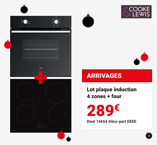 Lot plaque induction 4 zones + Four